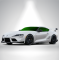 full car blackout (removable) CB